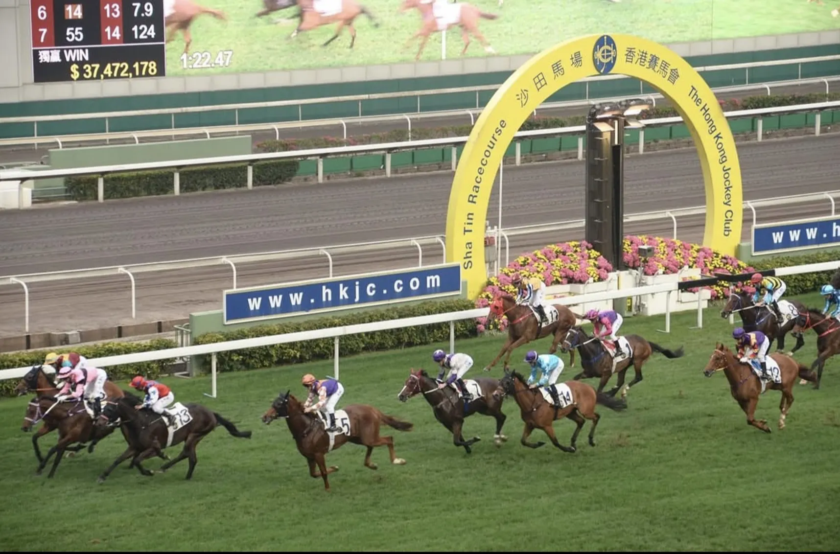 Trackside thrills.png